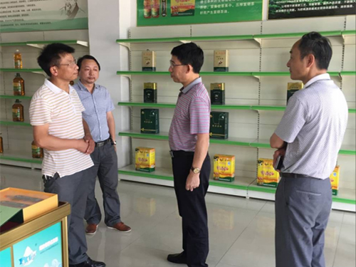 ������8883����AMG,�Ͳ���ֲ�����ӹ�����,ֲ������ֲ�����ӹ�����