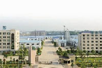 ������8883����AMG,�Ͳ���ֲ�����ӹ�����,ֲ������ֲ�����ӹ�����