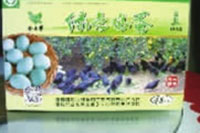 ������8883����AMG,�Ͳ���ֲ�����ӹ�����,ֲ������ֲ�����ӹ�����