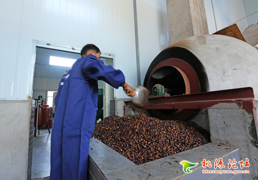 ������8883����AMG,�Ͳ���ֲ�����ӹ�����,ֲ������ֲ�����ӹ�����