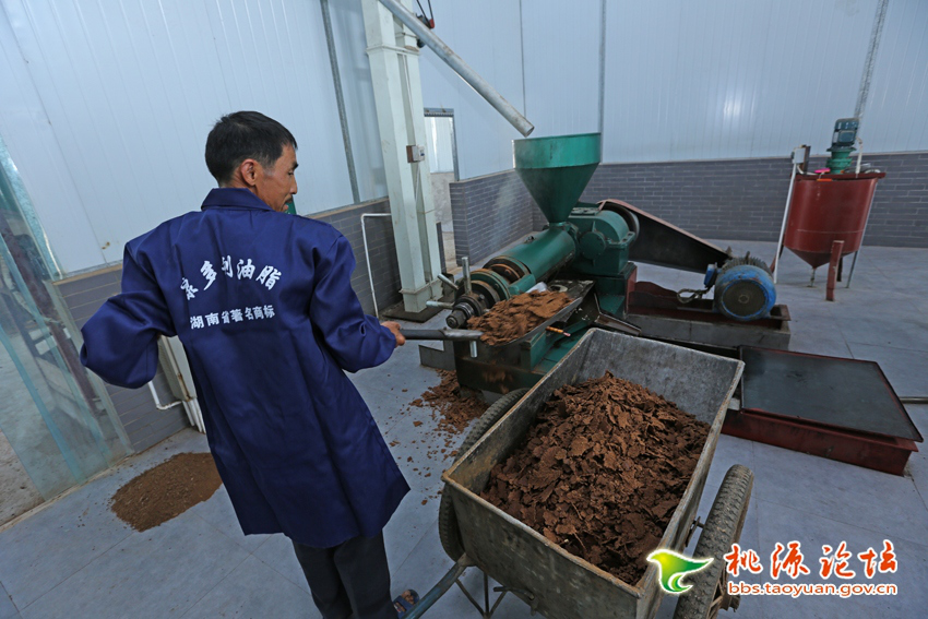 ������8883����AMG,�Ͳ���ֲ�����ӹ�����,ֲ������ֲ�����ӹ�����