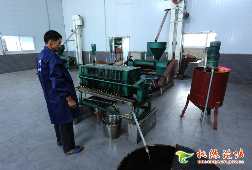 ������8883����AMG,�Ͳ���ֲ�����ӹ�����,ֲ������ֲ�����ӹ�����