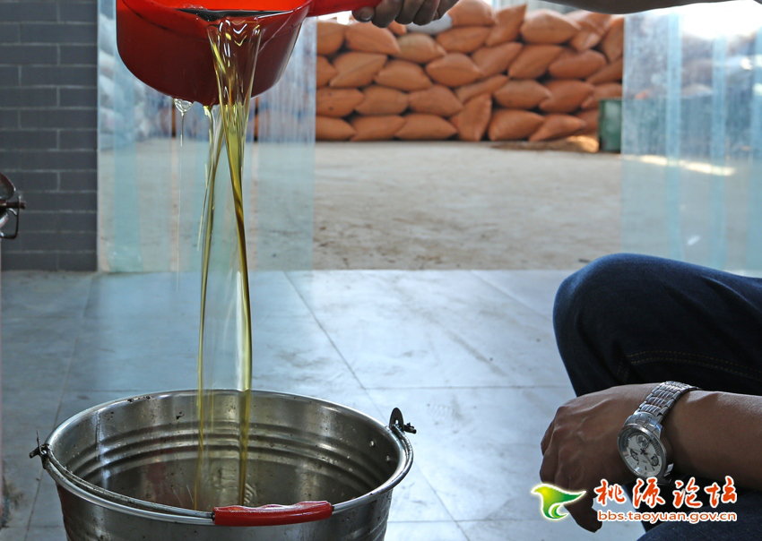 ������8883����AMG,�Ͳ���ֲ�����ӹ�����,ֲ������ֲ�����ӹ�����