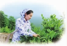 ÐÂÆÏÌÑ8883¹ÙÍøAMG,ÓͲèÖÖÖ²Éú²ú¼Ó¹¤ÏúÊÛ,Ö²ÎïÓÍÖÖÖ²Éú²ú¼Ó¹¤ÏúÊÛ ÐÂÆÏÌÑ8883¹ÙÍøAMG,ÓͲèÖÖÖ²Éú²ú¼Ó¹¤ÏúÊÛ,Ö²ÎïÓÍÖÖÖ²Éú²ú¼Ó¹¤ÏúÊÛ