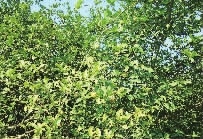 ÐÂÆÏÌÑ8883¹ÙÍøAMG,ÓͲèÖÖÖ²Éú²ú¼Ó¹¤ÏúÊÛ,Ö²ÎïÓÍÖÖÖ²Éú²ú¼Ó¹¤ÏúÊÛ ÐÂÆÏÌÑ8883¹ÙÍøAMG,ÓͲèÖÖÖ²Éú²ú¼Ó¹¤ÏúÊÛ,Ö²ÎïÓÍÖÖÖ²Éú²ú¼Ó¹¤ÏúÊÛ